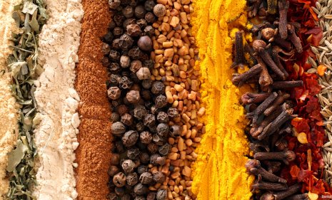 пряности и специи в чём отличие