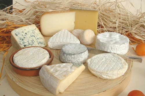 сыр без сычуга