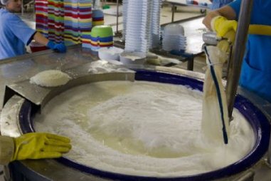 технология изготовления адыгейского сыра