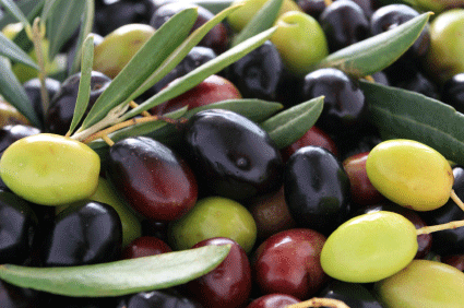 какими бывают оливки разновидности маслин